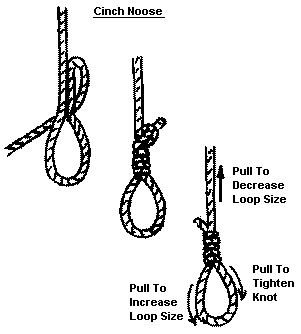 Bdsm Noose